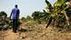 Obstbauer Mando Adayo nahe Ouagadougou, Burkina Faso (Foto: DW/ Peter Hille) Obstbauer Mando Adayo nahe Ouagadougou, Burkina Faso (Foto: DW/ Peter Hille)