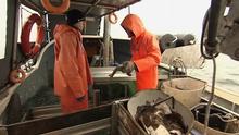 16.03.2013 DW DEUTSCHLAND HEUTE Fisch