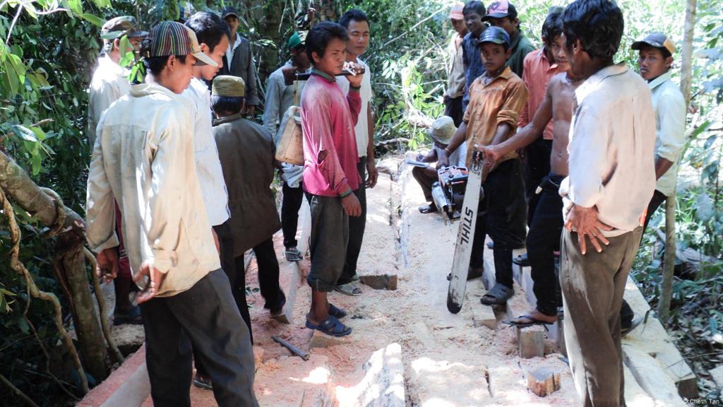 Upaya Selamatkan Hutan Prey Lang Iptek Laporan Seputar Sains Dan Teknologi Dan Lingkungan Dw 21 03 2013