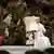 Papst Franziskus spricht in der großen Audienzhalle im Vatikan zur Internationalen Presse, drei Tage nach seiner Wahl. Links: Erzbischof Georg Gänswein, Präfekt des päpstlichen Hauses. Aufgenommen am 16.03.2013, Vatikan. Foto: Bernd Riegert