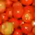 Bildergalerie Bioanbau in Uganda Bio-Tomaten