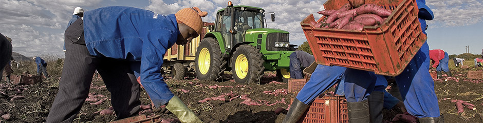 --- 2013_03_20_TH_afrika_landwirtschaft.psd