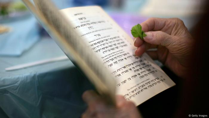 A person holding the Haggadah, a Jewish prayer book, and a ritual leaf of parsley at a Passover seder