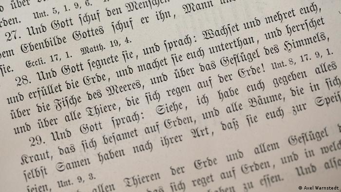 Foto: Textstelle in der Bibel aus dem ersten Buch Moses, Vers 28 (Foto: DW/Axel
Warnstedt)