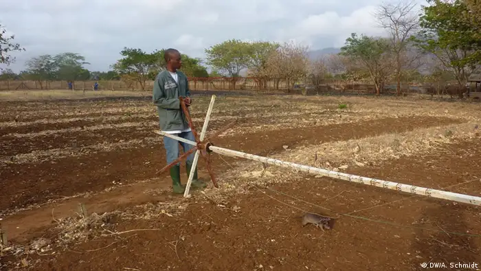 Ein Mann trainiert mit einer Ratte auf einem Übungsfeld.
(Foto: Andrea Schmidt/DW)

