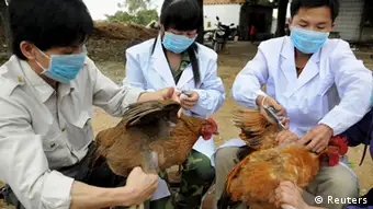 H7N9 Grippe China