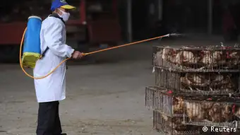 Vogelgrippe in China