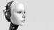 Cyborg: The face of a robot woman (Fotolia: #14687839); © Fotolia/sarah5 Cyborg: The face of a robot woman (Fotolia: #14687839); © Fotolia/sarah5
