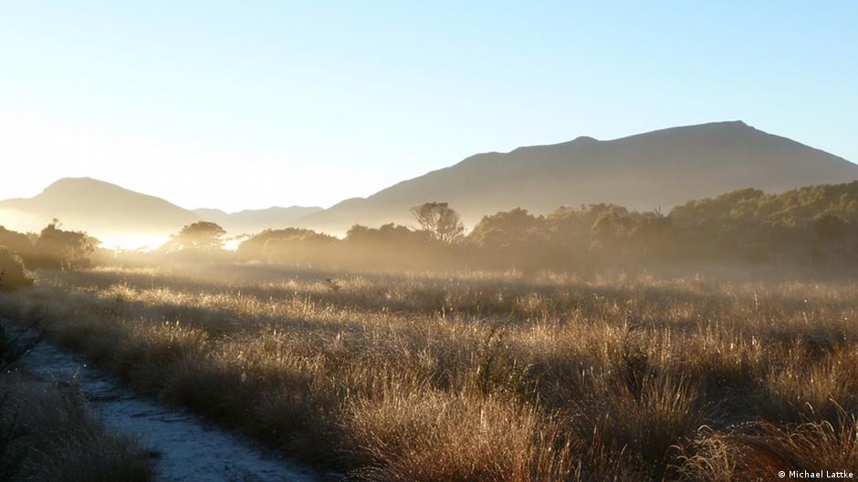 Bmkg Indonesia Dilanda Suhu Panas Hindari Aktivitas Di Luar Ruangan Indonesia Laporan Topik Topik Yang Menjadi Berita Utama Dw 25 10 2019
