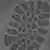 Aufnahme des Zellskeletts einer Kieselalge. Dieses Zellskelett besteht aus mehreren übereinander gelagerten asymetrischen Netzen. (Foto: Alfred-Wegener-Institut - Helmholtz-Zentrum für Polar und Meeresforschung)
