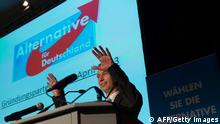 Bernd Lucke, co-founder of Germany's anti-euro party AfD 'Alternative fuer Deutschland' (Alternative for Germany) gestures during the first party meeting of Germany's anti-euro party AfD 'Alternative fuer Deutschland' on April 14, 2013 in Berlin. AFP PHOTO / JOHANNES EISELE (Photo credit should read JOHANNES EISELE/AFP/Getty Images)