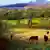 Landscape with cows in Ireland (Copyright: picture alliance/Bildagentur-online/DP)