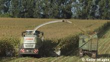 В ЕС планируют вдвое сократить использование пестицидов в сельском хозяйстве