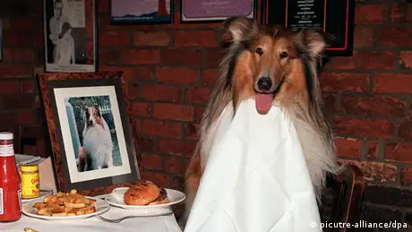 Hund im Restaurant