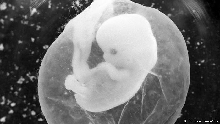 Ein Embryo in der Gebärmutter in schwarz weiß