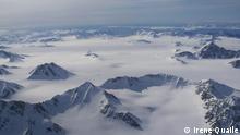 Российских заключенных планируют отправить на очистку Арктики