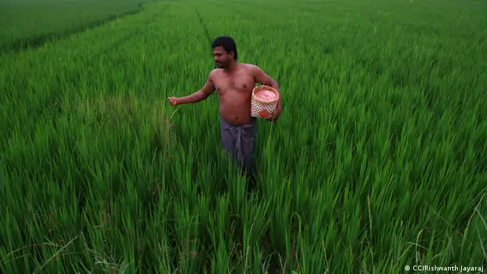 Farmer düngt Feld (CC/Rishwanth Jayaraj)