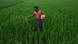 A farmer on his field (Photo: CC/Rishwanth Jayaraj, Quelle: http://www.flickr.com/photos/cjrishwanth/8498954850/sizes/h/in/photostream/ License: http://creativecommons.org/licenses/by/2.0/deed.de) A farmer on his field (Photo: CC/Rishwanth Jayaraj, Quelle: http://www.flickr.com/photos/cjrishwanth/8498954850/sizes/h/in/photostream/ License: http://creativecommons.org/licenses/by/2.0/deed.de)