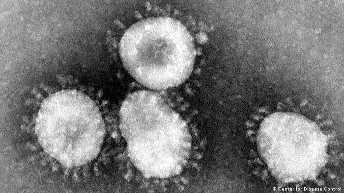 Un coronavirus sous le microscope. Il a causé un nombre élevé de décès, notamment en Arabie Saoudite