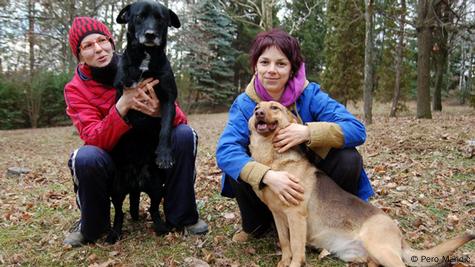 Cómo los parques caninos están siendo temas de controversia en