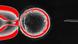 HANDOUT - Donor egg cytoplasm containing skin cell nucleus (undated). Scientists at Oregon Health & Science University (OHSU) and the Oregon National Primate Research Center (ONPRC) claim they have successfully reprogrammed human skin cells to become embryonic stem cells capable of transforming into any other cell type in the body. Handout: OHSU (ACHTUNG: Nur zur redaktionellen Verwendung im Rahmen der aktuellen Berichterstattung bei vollständiger Nennung der Quelle Handout: OHSU", zu dpa "Erstmals menschliche Zellen in embryonale Stammzellen umgewandelt" vom 15.05.2013) +++(c) dpa - Bildfunk+++ HANDOUT - Donor egg cytoplasm containing skin cell nucleus (undated). Scientists at Oregon Health & Science University (OHSU) and the Oregon National Primate Research Center (ONPRC) claim they have successfully reprogrammed human skin cells to become embryonic stem cells capable of transforming into any other cell type in the body. Handout: OHSU (ACHTUNG: Nur zur redaktionellen Verwendung im Rahmen der aktuellen Berichterstattung bei vollständiger Nennung der Quelle Handout: OHSU", zu dpa "Erstmals menschliche Zellen in embryonale Stammzellen umgewandelt" vom 15.05.2013) +++(c) dpa - Bildfunk+++