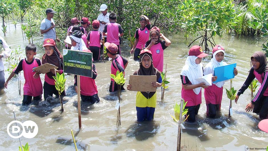 Indonesia's Green Recovery – Dw – 05 21 2013