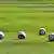 Four soccer balls on the grass