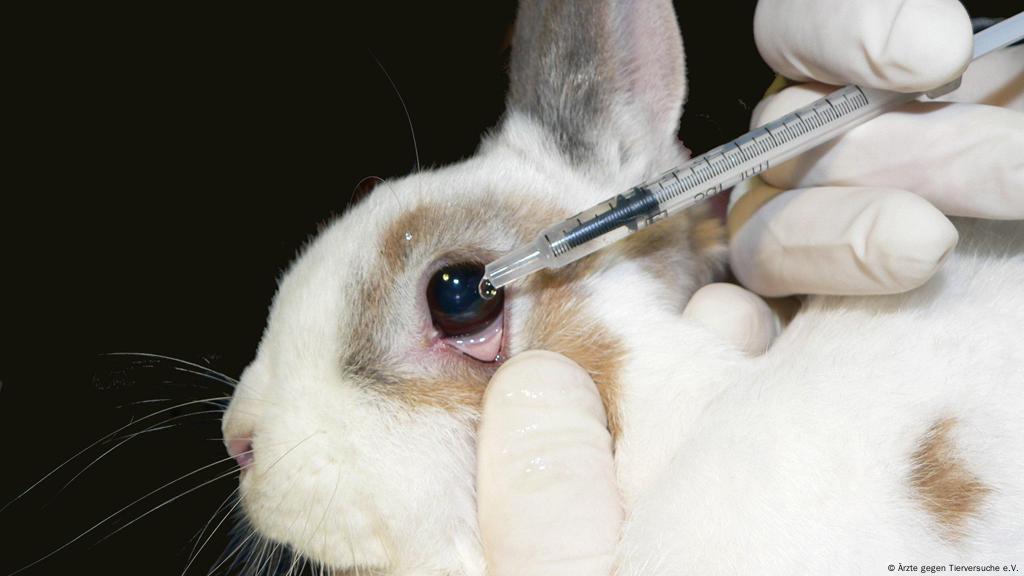 animal testing cosmetics facts