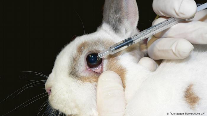 Is animal testing illegal