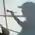 The silhouette of a painter +++(c) dpa - Bildfunk+++