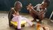 A young girl tries to engage Soa Tamba (5) in play at THINK's transit centre for children in contact with law in Monrovia, the capital of Liberia. Soa, mentally challenged from birth, was found abandoned at the door of a hospital three years ago. The case was reported to the police who brought him to THINK. In recent times, Liberia continues to recover from a ruinous 14-year civil war that ended in 2003. Although the Government is working to rebuild the country‚Äôs destroyed infrastructure, many Liberians still live without access to basic services. The influx of approximately 178,000 refugees from Cv¥te d'Ivoire, who fled their own country after controversy surrounding the 28 November 2010 presidential election turned violent, has only exacerbated the situation. Waning supplies of safe drinking water and food, inadequate sanitation facilities, constricted access to medical care and overcrowding all threaten the health of Liberian and Ivorian children alike. The education of many children has also been disrupted because refugees stay in schools when there are not enough families to host them. The poor condition of roads makes it difficult for aid to reach remote areas, where many of the most vulnerable families live. Many of the refugees have returned home, but thousands have stayed back, often hosted by Liberian communities and families, both in rural and urban areas of the country. NGOs and the Liberian Government continue to work hard to provide life-saving services for both Liberian citizens and Ivorian refugees. A young girl tries to engage Soa Tamba (5) in play at THINK's transit centre for children in contact with law in Monrovia, the capital of Liberia. Soa, mentally challenged from birth, was found abandoned at the door of a hospital three years ago. The case was reported to the police who brought him to THINK. In recent times, Liberia continues to recover from a ruinous 14-year civil war that ended in 2003. Although the Government is working to rebuild the country‚Äôs destroyed infrastructure, many Liberians still live without access to basic services. The influx of approximately 178,000 refugees from Cv¥te d'Ivoire, who fled their own country after controversy surrounding the 28 November 2010 presidential election turned violent, has only exacerbated the situation. Waning supplies of safe drinking water and food, inadequate sanitation facilities, constricted access to medical care and overcrowding all threaten the health of Liberian and Ivorian children alike. The education of many children has also been disrupted because refugees stay in schools when there are not enough families to host them. The poor condition of roads makes it difficult for aid to reach remote areas, where many of the most vulnerable families live. Many of the refugees have returned home, but thousands have stayed back, often hosted by Liberian communities and families, both in rural and urban areas of the country. NGOs and the Liberian Government continue to work hard to provide life-saving services for both Liberian citizens and Ivorian refugees.