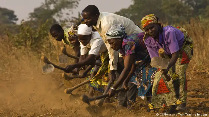 Travaux des champs en Afrique
