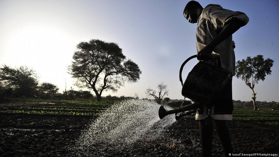 L'économie du Niger, si vulnérable DW 18/02/2021