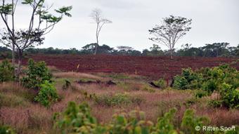 Brachland zur Aufforstung. Hier soll die Kakao-Plantage von Ritter Sport in Nicaragua entstehen (Foto: Ritter Sport)