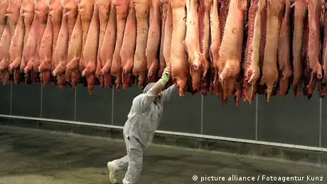 Schlachthof Fleisproduktion Lohndumping Lohnsklaven
