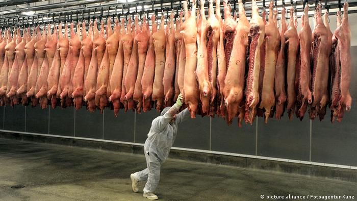 Geschlachtete Schweine hängen in einem Schlachthof