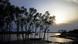 Sundarbans Bangladesch Indien UNESCO Welterbe Sundarbans Bangladesch Indien UNESCO Welterbe
