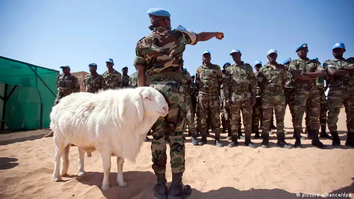 A handout photo released by United Nation African Union Mission in Darfur (UNAMID), shows freed Senegalese peacekeepers, with their pet sheep, preparing to receive the UNAMID Force Commander, Lieutenant General Patrick Nyamvumba in Umm Baru, North Darfur, Sudan, 22 February 2012. A 55-peacekeeper contingent was blocked on 19 February while conducting a long-range patrol some 60 kilometers from its team site in Umm Baru, in the village of Shegeg Tova, by more than 100 armed men belonging to the Justice and Equality Movement (JEM). The patrol consisted of 50 Senegalese peacekeepers along with three police advisors and two language assistants. The stand-off ended after the arrival of substantial peacekeeping reinforcements, and repeated contacts between JEM leadership and UNAMID representatives.