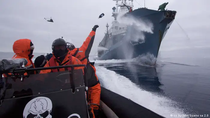 Aktivisten von Sea Shepherd