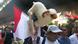 Proteste duminică, la Cairo Proteste duminică, la Cairo