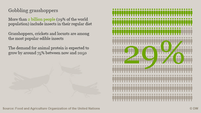 Graphic showing one third of the world's population eats insects