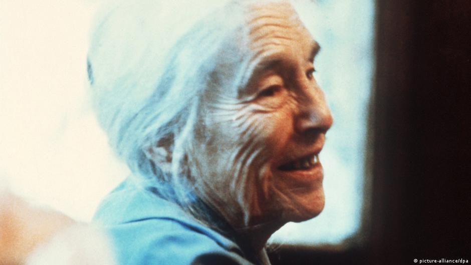 Anna Seghers The Seventh Cross 100 German Must Reads A Unique List Of 100 Works Of German Literature Published In English Dw 08 10 2018