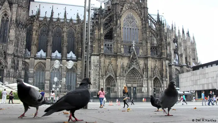Tauben vor dem Kölner Dom
Foto: Michael Hartlepp