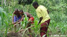 Governo são-tomense redistribui terras para combater pobreza