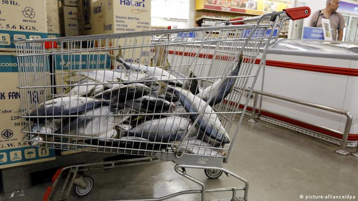 Gefrorene Fische in Einkaufswagen