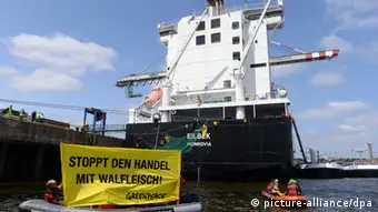 Greenpeace Protest Walfleisch-Transport