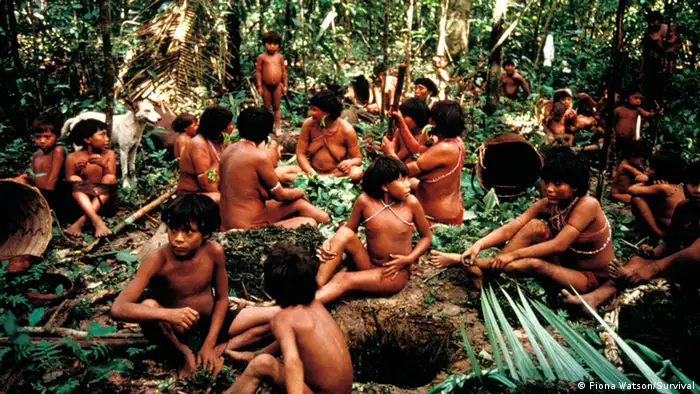 Bildergalerie Die Einheimischen Regenwald Brasilien