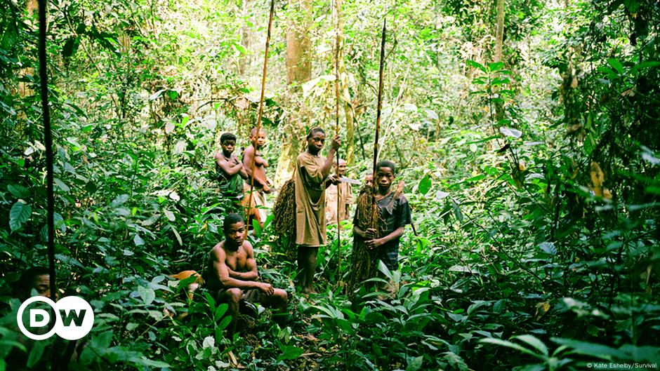 Conflict Forces Drc Jungle Dwellers To Leave Their Traditional Homes Africa Dw