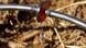 A drip-irrigation System (Photo: Joby Elliott / CC BY 2.0) A drip-irrigation System (Photo: Joby Elliott / CC BY 2.0)