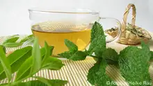 دلل نفسك بكوب شاي عشبي بارد ـ وصفة منزلية سهلة